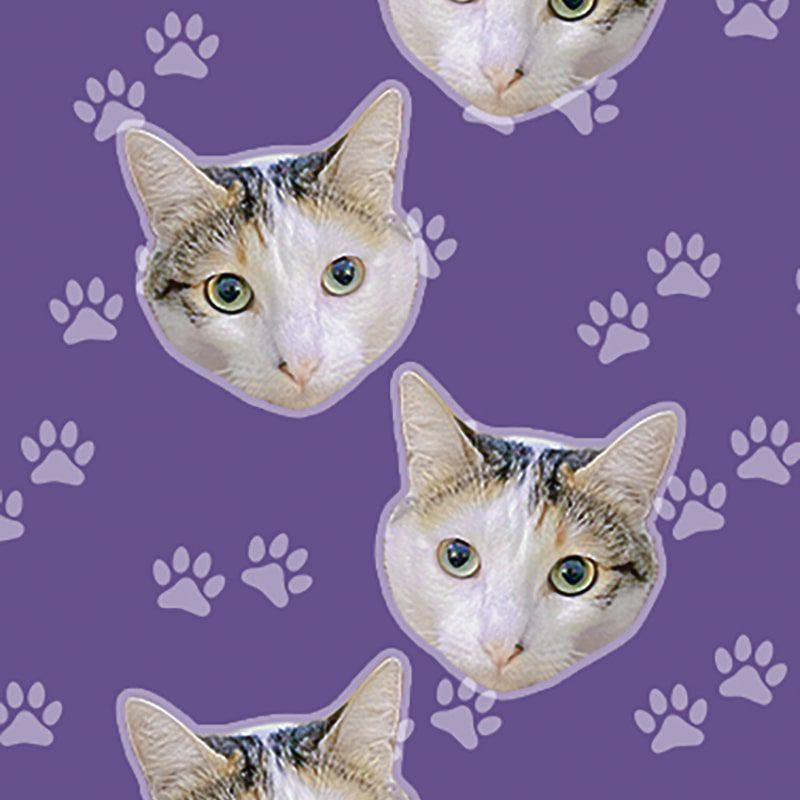 Medias Personalizadas Mascotas