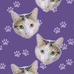 Medias Personalizadas Mascotas