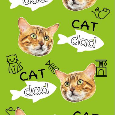 Medias Personalizadas Cat Dad  Papá Gato