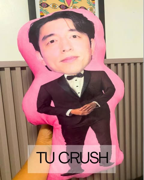 cojin personalizado cara persona famoso kpop amigo 