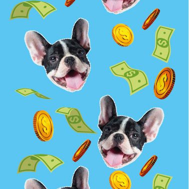 Medias Personalizadas Fondo Dinero