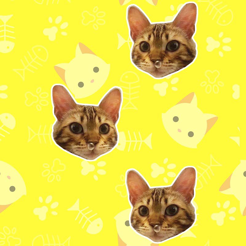 Medias Personalizadas GATO