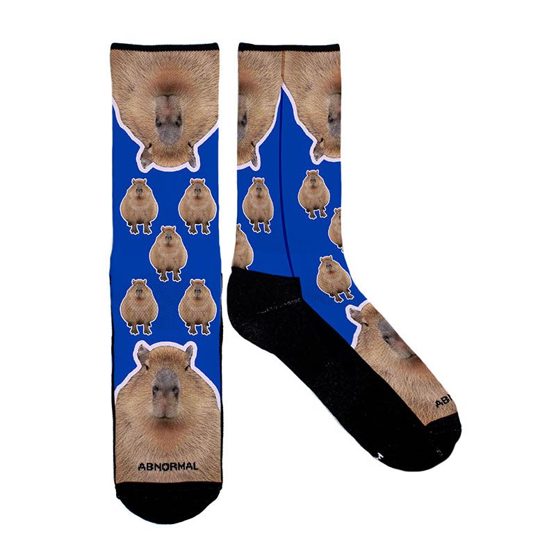 Medias Largas Capibara Cuerpo Fondo Azul