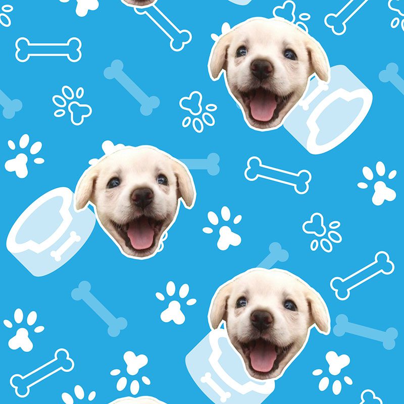 Medias Personalizadas PERRO